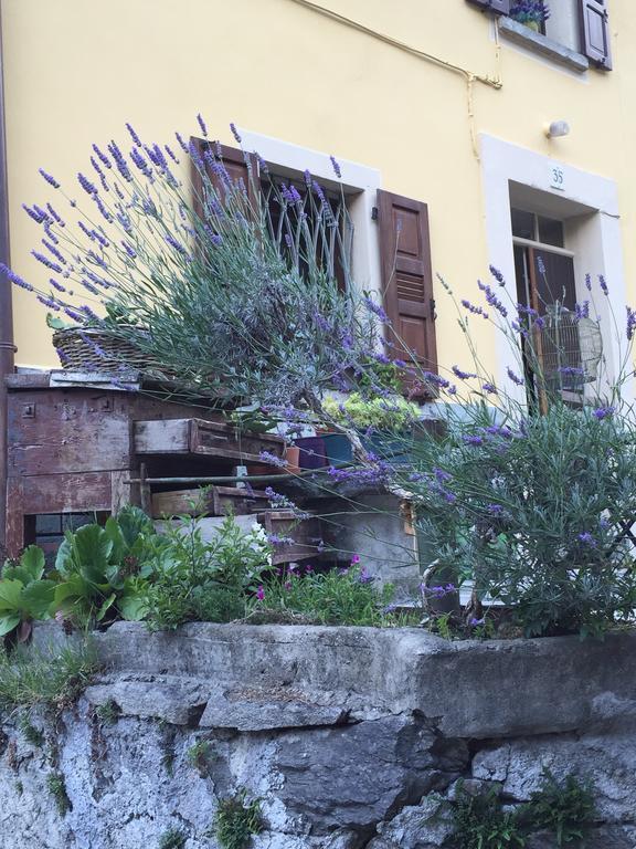 B&B Valle Spluga Il Pertugio Chiavenna Εξωτερικό φωτογραφία